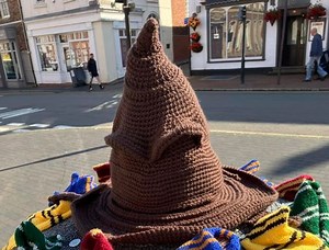 Find out what events are planned as Shropshire town prepares for Harry Potter birthday bash