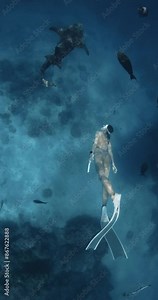 Woman freedive underwater in tropical blue sea. Swimming with sharks on deep ocean. Vertical view.