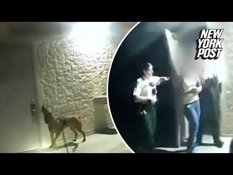 Florida K-9 finds missing 11-year-old girl in park bathroom: officials