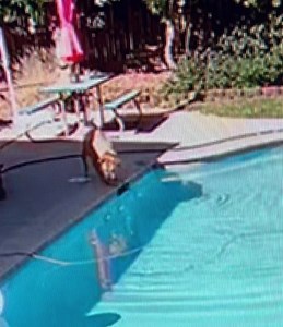 1K views · 18 reactions | fugitive.com fugitivewatch fugitive.com...