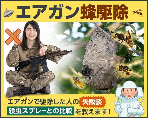 エアガンで蜂の巣駆除、実は効率が悪かった！動画・失敗談をシェア