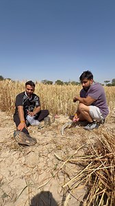 688K views · 10K reactions | Virender Singh on Reels | Facebook