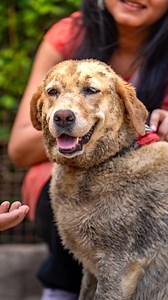 12 reactions · 5 comments | Ruby is ready to bring fun and love into...