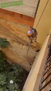 Zwembroek van het balkon gevallen, altijd vervelend! | dumpert.nl