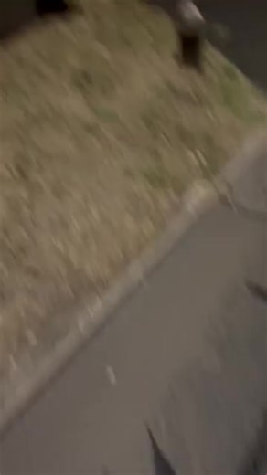 English Nationalists harassing a man trying to take down England flags | Spotted: England