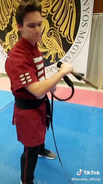 Baranta | Mire használták régen a karikás ostort? 🇭🇺🇭🇺🇭🇺 #karikasostor #foryou #fy #hungarian #fight #sport #hungary #whip #martialarts #baranta #traditional #bullwhip