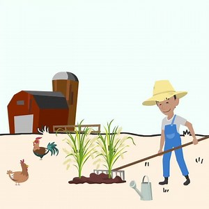 Learn how to allow respectful guests to camp on your land or in your cabin through Hipcamp (all while feeling secure with our $1M coverage!) | Hipcamp