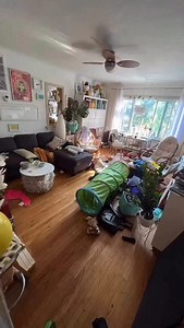 38K views · 6.8K reactions | Pile system ✅ #cleaning #saturday #relatable #family #neurodiverse #mentalhealth #autism #cleaningmotivation #housecleaning #weekend #fun | Takes a Village Cleaning | Facebook