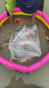 20K views · 353 reactions | Forbidden Koi Pond | RAWWFishing | Facebook