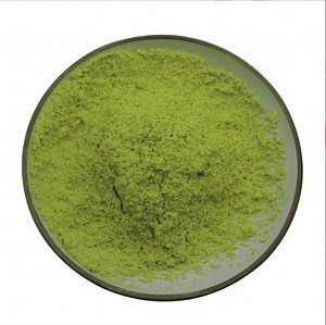 [Hot Item] Moringa Oleifera Leaf Extract Horseradish Tree Leaves Powder