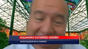 Inestabilidad emocional impacta productividad de trabajadores | Meganoticias Salamanca