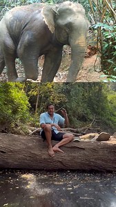 The Central Cardamom Mountains National Park is one of the largest protected forests in Southeast Asia. On top of sequestering the CO2 equivalent of 70,000 cars on the road per year, it is also home to incredible biodiversity – 54 endangered species, including the Asian Elephant, the Clouded Leopard, and the Sunda Pangolin. Conservation International CEO Dr. M Sanjayan explores the wonders of this massive rainforest firsthand, where we have worked alongside the local government, Indigenous peopl