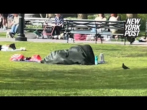 Brazen couple has romp in packed NYC park in full view of kids: ‘Society is so f—king gross’