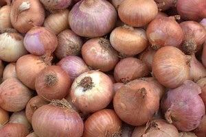 Foods for Dedifferentiated Liposarcoma!