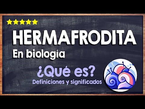🙏 What is a hermaphrodite? - Meaning of hermaphroditism in biology and natural sciences 🙏