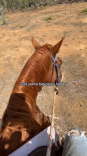 Discover Mack Geiger's Latest Real Country Music