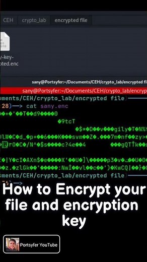 File encryption and decryption with openssl 💥 #cybersecurity #kalilinux #openssl #encryption