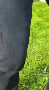AVANT D'ETRE CHANTEUR JE DANSAIS EN DISCOTHÈQUE DE MINUIT A 5 H DU MAT / AYANT LE RYTHME DANS LA PEAU / SPONTANÉMENT JE DECONNE EN DANSANT. Ça agace les jaloux de voir Francky adorant la danse au point d'avoir envie de lui mettre une contredanse le provocateur amène toujours une touche malsaine en effleurant sa langue qu'il met volontiers en scène son souple déhanché pour mieux animer son corps lui donne une sexy attitude que les femmes adorent et provoque le jugement hatif des coincés du cul Ne