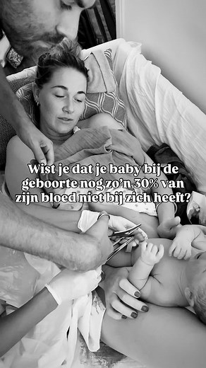Wanneer je wacht met het doorknippen van de navelstreng, krijgt je baby zijn/ haar eigen bloed terug vol zuurstof, ijzer, stamcellen en afweerstoffen. 🩸Dat bloed zit deels nog in de placenta (zo’n 30%) Waarom is het uitkloppen van de navelstreng zo belangrijk? 👉🏼 Je baby krijgt een flinke dosis ijzer 👉🏼 Extra witte bloedcellen en antistoffen 👉🏼 Meer bloedplaatjes, die belangrijk zijn voor de natuurlijke stolling. 👉🏼 Hij/zij krijgt haar eigen stamcellen terug cellen die helpen bij herste