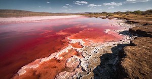 O lago que transforma animais em pedra. O mistério do Lago Natron, na Tanzânia, e suas explicações científicas