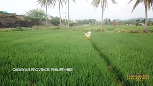 See why the beauty of Cagayan Province deserves to be known beyond the coastlines of the Philippines and to impress the rest of the universe. Take it from Danica Reynes, one of the official contestants of the first ever stand-alone Miss Universe Philippines. Mabuhay! Ms. Danica Reynes’ Video Team: Maxie Umoso Mjel Garma Jeff and Louie Antonio Omah Marcelino For more Miss Universe Philippines videos, go to https://tinyurl.com/MissUniversePhilippines INSTAGRAM: https://www.instagram.com/themissuni