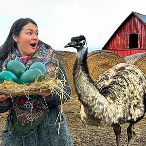 1.2K views · 18 reactions | Dinosaur Eggs and Giant Meat in the Oven! | Top Wilderness | Facebook