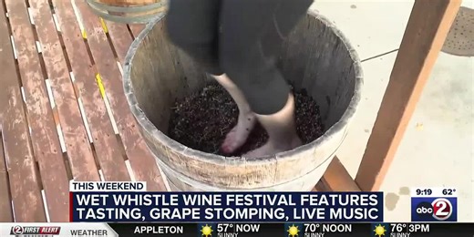 WATCH: Grape stomping at Wet Whistle Wine Fest