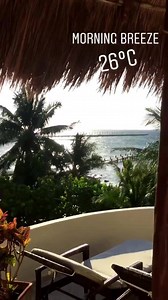 Playa Palms Beach Hotel on Reels