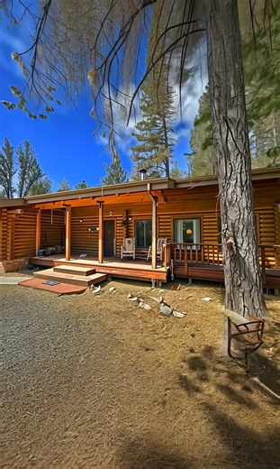 Beautiful Woodland Log Cabin With a Hidden Interior Masterpiece | Tiny House Designs