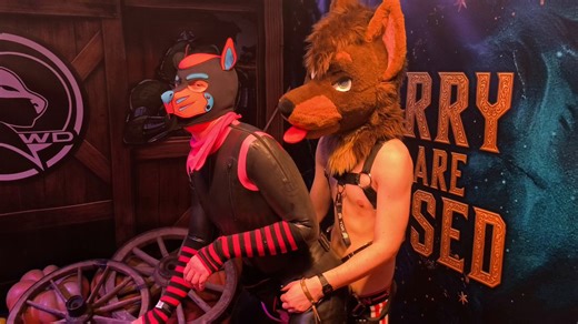 RT @PupBropix: Just dogs rutting in public 🐶With @DieselDoberman