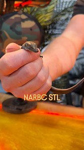 49 reactions | You know what time it is! Vendor set up starts today & VIP gets early access 2:00pm - 7:00pm STL LETS GET IT STARTED! Location: St. Charles Convention Center  November 22nd - 23rd, 2025 Sat 10:00 AM - 5:00 PM Sun 11:00 AM - 4:00 PM  Tickets: narbc.com | NARBC: North American Reptile Breeders Conference | Facebook