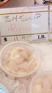 1.3K views · 11 reactions | #sunhfish #seafood #dungenesscrab #lobster #shellfish #clams | Sunh Fish Company | Facebook