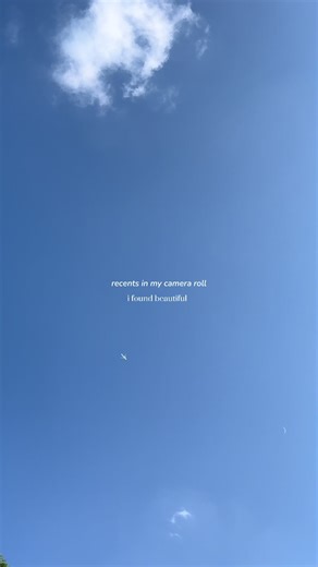 mary bee films on TikTok