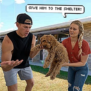 7.3K views · 18 reactions | Pranking My Boyfriend!!! Giving Our Dog To The Shelter | Della Vlogs | Facebook