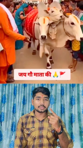 जय गौ माता 😱 #viralshort #explorepage #facts #god #foryou #education #cow #gaumata #mata