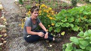 Join us at Fern Valley- Build your passion! Check it out. | Fern Valley Farm