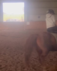 Love watching our 7 year old learn to ride! I think he will be cantering down the beach with me before the end of the year 🥳🐴💖 Thanks Maxi 😇 | Cradle Country Adventures