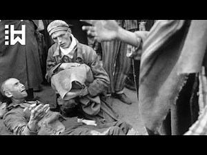 How Nazi Regime Targeted Gay Men in the Third Reich