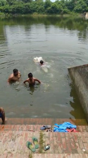 পুকুরে গিয়ে দিলাম ঝাঁপ 😮 #pond #swiming #fb #broadcasting #holidayseason #SpookySeason | Tumpa Chakraborty