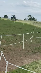 Leilani Dowding on Reels