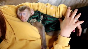 62 reactions | Wow!!! Wonderful Young Mom Comfy Baby Baby In Hammock | Monkey Jason | Facebook