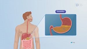 ビデオ: Oral Drug Delivery Systems: Introduction
