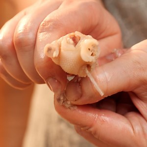 Best way to cook chicken legs | DeMilked