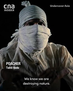 11K views · 401 reactions | A gold rush for sea cucumbers is driving a multimillion-dollar illicit trade in India and Sri Lanka. CNA investigates: | CNA | Facebook