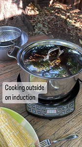 Having a cookout today (or any time soon)? Our home was too hot to cook inside during this weekend’s scorching heat wave so I moved my portable induction cooker outside and boiled the potatoes for making potato salad. #outdoorcooking | Zero-Waste Chef