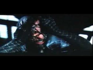 Spiderman 3 Revenge Video