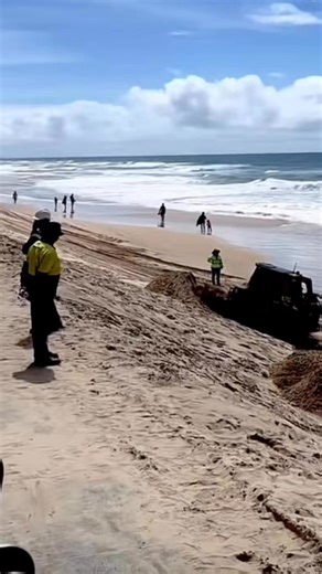 210K views · 503 reactions | The beach has naturally returned. Thanks for the hard work, guys. #Cyclonealfred #HugeDamage #goldcoast #surfersparadise #beach #queensland | Australia-Phil | Facebook