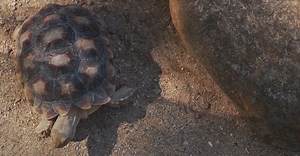 Video by Mikhail Nilov on Pexels