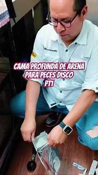 Deep sand bed for discus fish, part 1 #discusfish #JaimeMaussan #aquariumfiltration