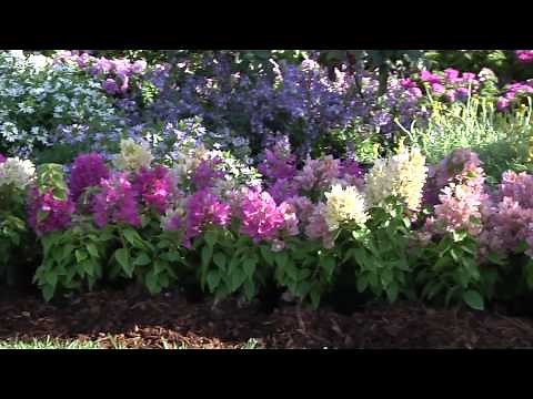 Plant Beautiful, Low-Maintenance Beds & Borders